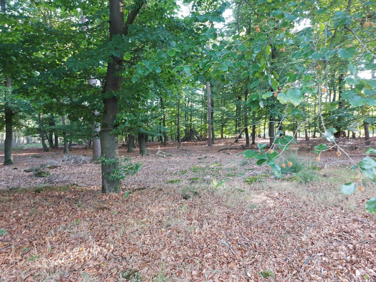 Villa Chalet Wanama. Gelegen Op Het Vakantiepark Het Lierderholt Op De Veluwe. Beekbergen Exterior foto