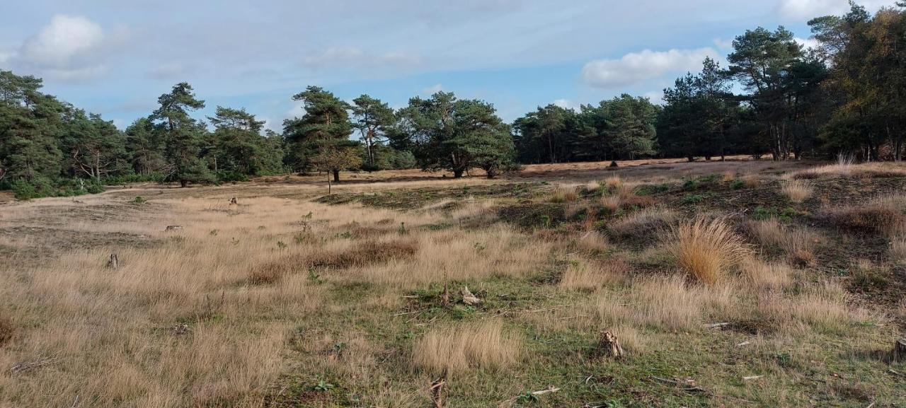 Villa Chalet Wanama. Gelegen Op Het Vakantiepark Het Lierderholt Op De Veluwe. Beekbergen Exterior foto